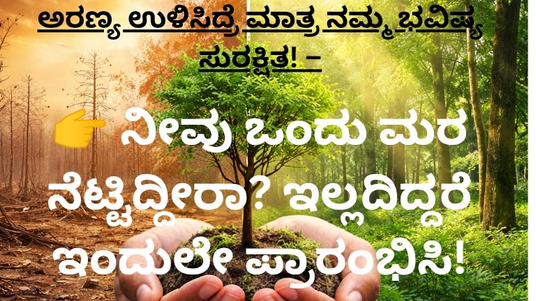 World Forest Day 2026